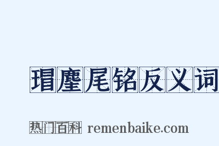 瑇瑁麈尾铭反义词是什么意思的图片